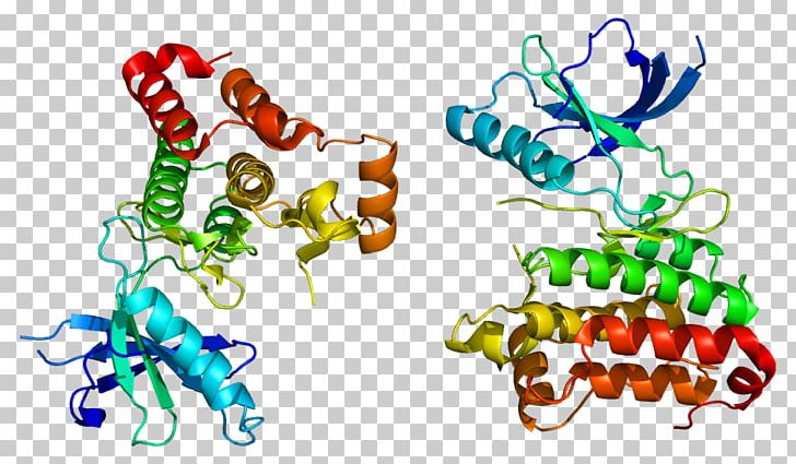 EPH Receptor A2 Ephrin Receptor Tyrosine Kinase Protein PNG, Clipart, Artwork, Braf, Cell Signaling, Eph Receptor A1, Eph Receptor A2 Free PNG Download