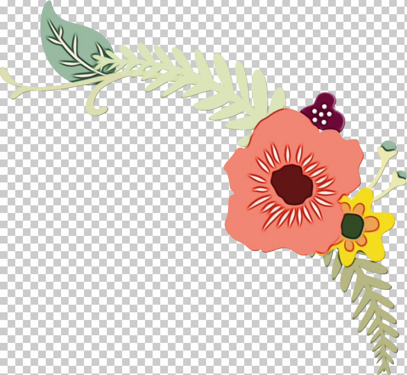 Flower Plant Cut Flowers Wildflower Vascular Plant PNG, Clipart, Cut Flowers, Flower, Paint, Plant, Vascular Plant Free PNG Download
