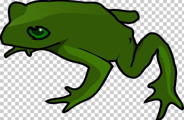Kermit The Frog PNG, Clipart, Amphibian, Animal Figure, Animation, Artwork, Blog Free PNG Download