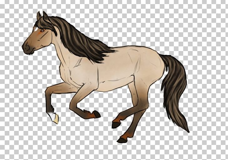 Mane Foal Stallion Mustang Mare PNG, Clipart, Bridle, Cartoon, Colt, English Riding, Equestrian Free PNG Download