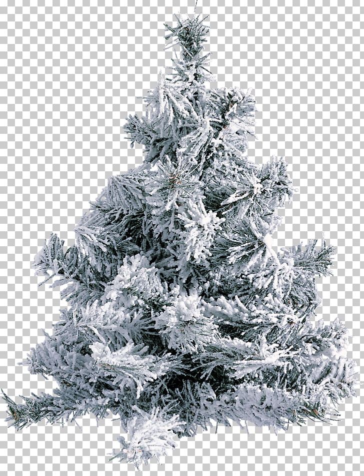 New Year Tree PNG, Clipart, Black And White, Branch, Christmas Decoration, Christmas Ornament, Christmas Tree Free PNG Download