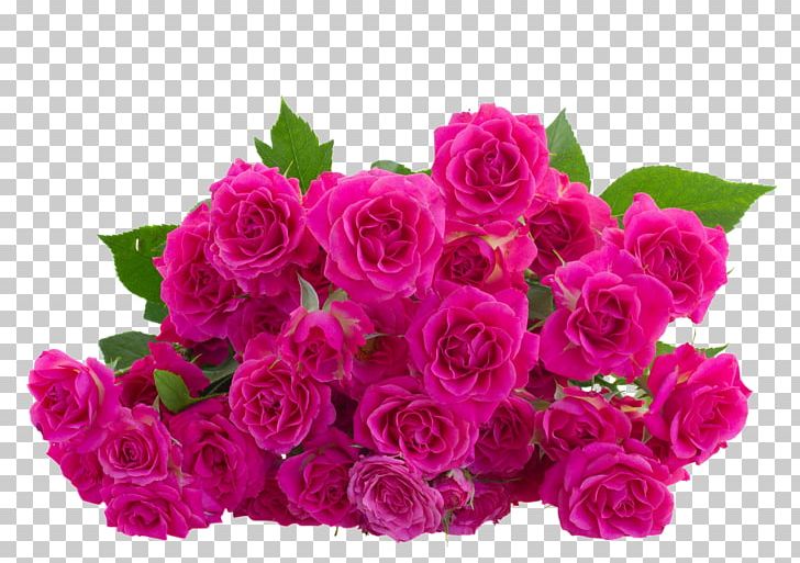 Flower Garden Roses Animation PNG, Clipart, Animation, Annual Plant, Bouquet, Cut Flowers, Floral Design Free PNG Download