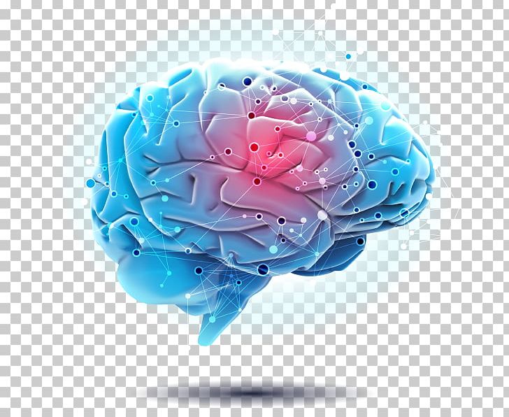 Engaging The Rewired Brain Autonomic Nervous System Psychology PNG, Clipart, Amazoncom, Aqua, Autonomic Nervous System, Blue, Book Free PNG Download