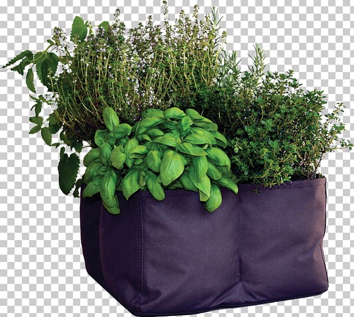Herb Flowerpot PNG, Clipart, Flowerpot, Grass, Herb, Herbes, Others Free PNG Download