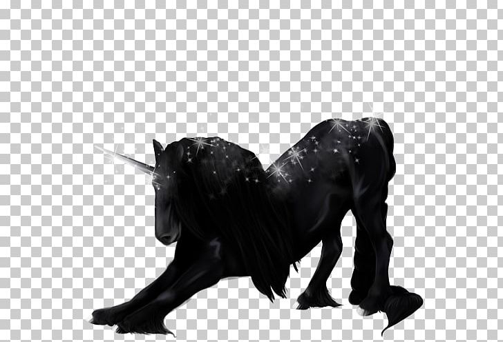 Monochrome Photography Dog Snout Canidae PNG, Clipart, Animals, Black, Black And White, Black M, Black Panther Free PNG Download
