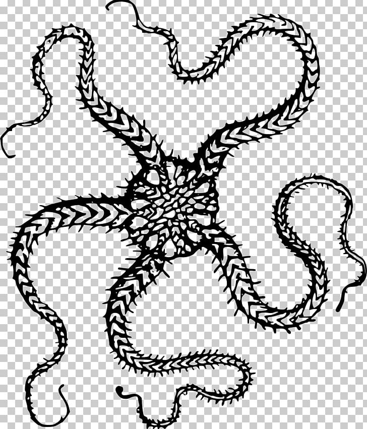 T-shirt Starfish Computer Icons PNG, Clipart, Artwork, Black And White, Brittle Star, Cephalopod, Clothing Free PNG Download