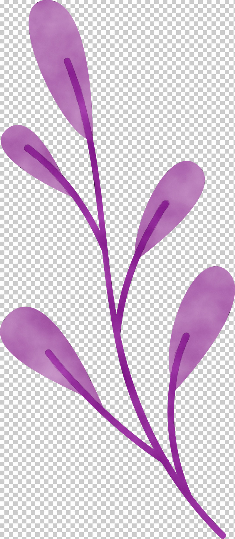 Petal Purple Flower Plants Science PNG, Clipart, Biology, Flower, Paint, Petal, Plants Free PNG Download