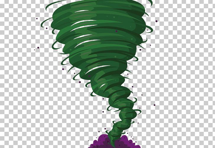 Tri-State Tornado Cartoon PNG, Clipart, Animation ...