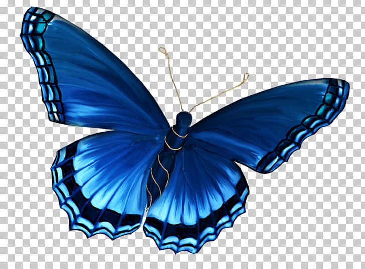 Butterfly Butterflies & Insects PNG, Clipart, Arthropod, Blue, Brush Footed Butterfly, Butterflies And Moths, Butterflies Insects Free PNG Download