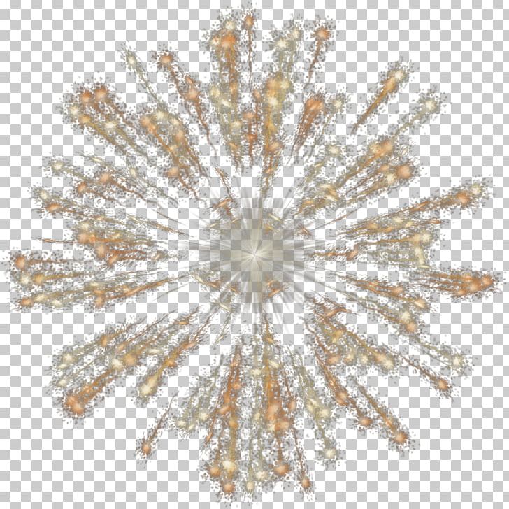 Fireworks Pyrotechnics PNG, Clipart, Beautiful, Beautiful Fireworks, Bloom, Bloom Of Fireworks, Burst Effect Free PNG Download