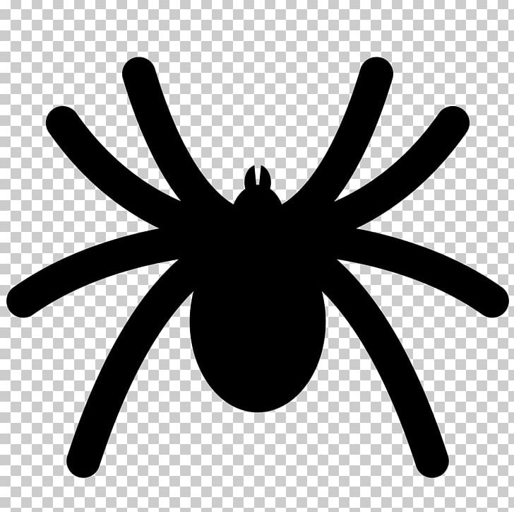 Spider Animation PNG, Clipart, Animation, Black And White, Computer Icons, Drawing, Insect Free PNG Download