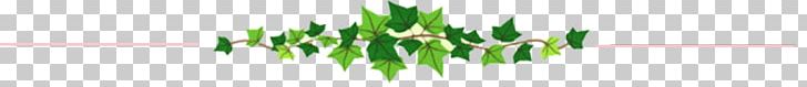 Wheatgrass Desktop Leaf Close-up Plant Stem PNG, Clipart, Alpha Kappa Alpha, Closeup, Closeup, Commodity, Computer Free PNG Download