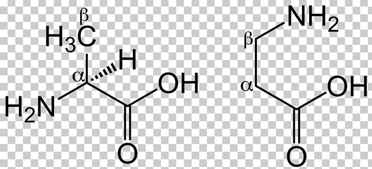 Proteinogenic Amino Acid Arginine Gamma-Aminobutyric Acid PNG, Clipart, Acid, Alanine, Amine, Amino Acid, Angle Free PNG Download