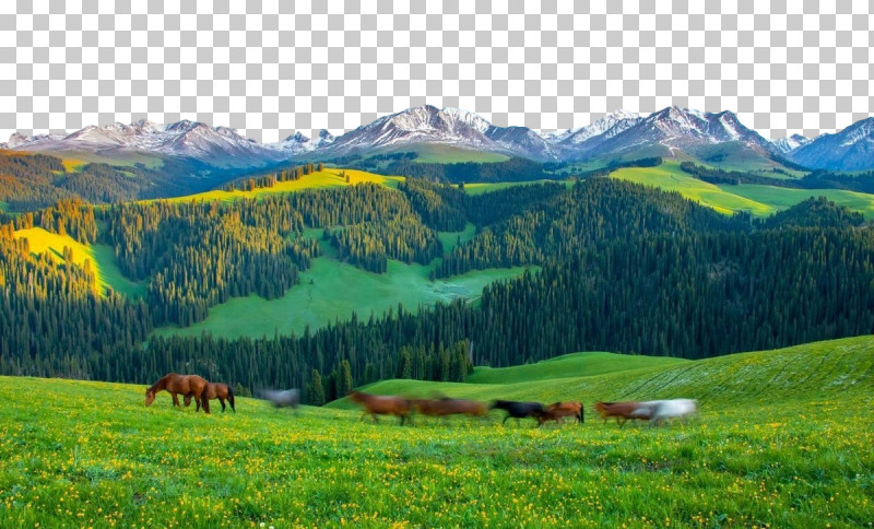 Mount Scenery Grassland Biome Steppe Nature Reserve PNG, Clipart, Biome, Farm, Grassland, Hill Station, Mountain Free PNG Download
