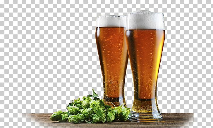 Beer Universe Beer Glasses Hops PNG, Clipart, Association, Beer, Beer Brewing Grains Malts, Beer Glass, Beer Glasses Free PNG Download