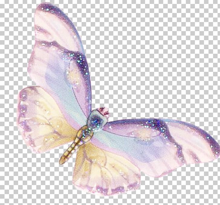 Butterfly Moth Lilac PNG, Clipart, Butterfly, Color, Colorful Background, Color Pencil, Color Powder Free PNG Download