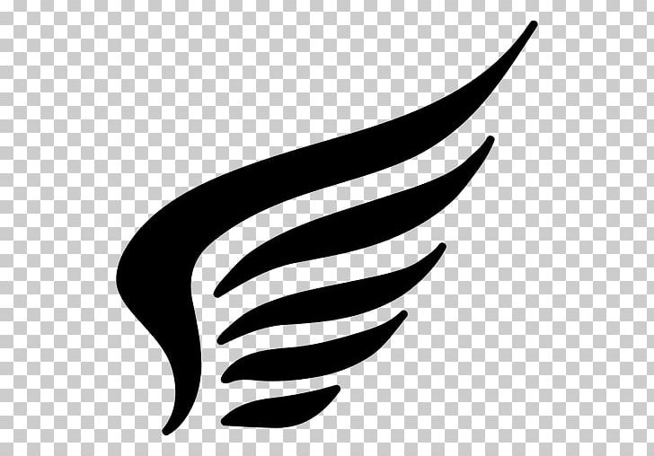 Feather PNG, Clipart, Animals, Art, Artwork, Beak, Black And White Free PNG Download
