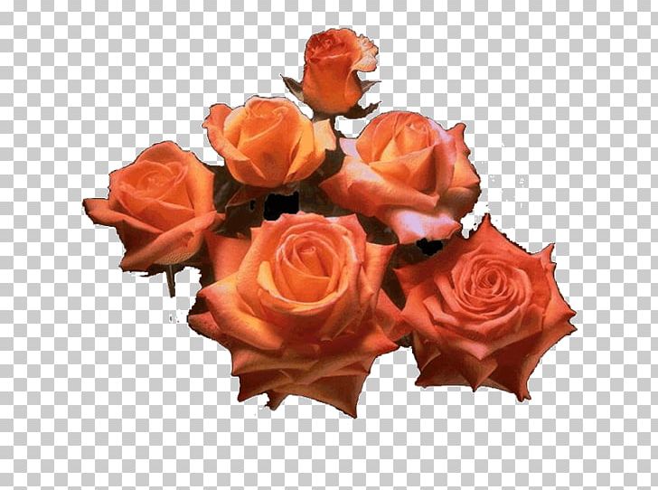 Garden Roses Cut Flowers Flower Bouquet PNG, Clipart, Artificial Flower, Carnation, Cut Flowers, Desktop Wallpaper, Floral Design Free PNG Download