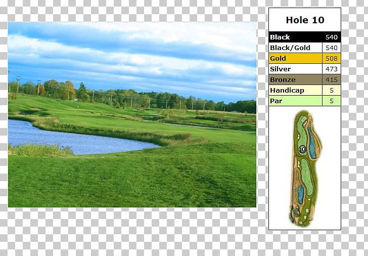 Golf Clubs Water Resources Ecosystem Grassland PNG, Clipart, Ecosystem, Golf, Golf Club, Golf Clubs, Golf Course Free PNG Download