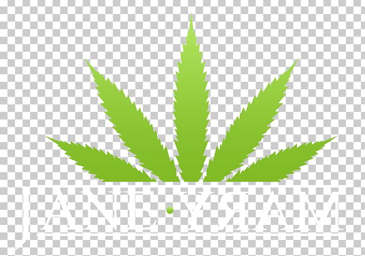 Marijuana Cannabis Sativa Medical Cannabis PNG, Clipart, Cannabis, Cannabis Sativa, Embroidery, Grass, Hemp Free PNG Download