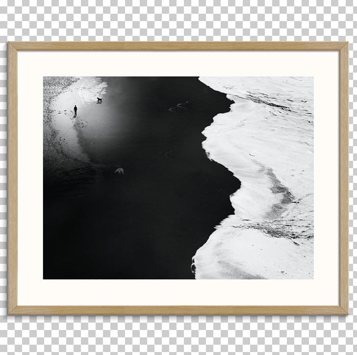 Photograph 500px Frames Black And White Tir PNG, Clipart, 500px, Black, Black And White, Lonely Goose, Mail Free PNG Download