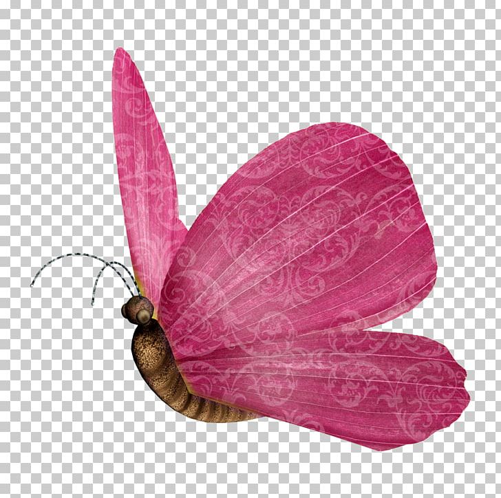 Butterfly Moth Red PNG, Clipart, Arthropod, Butterflies And Moths, Butterfly, Butterfly Pattern, Encapsulated Postscript Free PNG Download