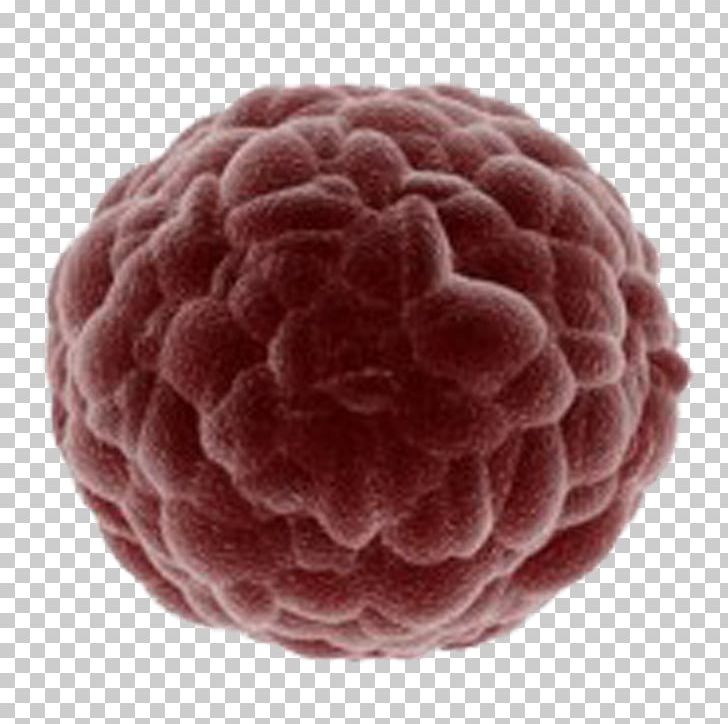 Cell Cancer Stock Photography PNG, Clipart, Berry, Cancer, Cancer Cell, Cell, Cell Culture Free PNG Download