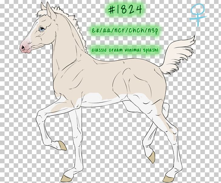 Foal Mane Mustang Bridle Stallion PNG, Clipart, Animal, Animal Figure, Artwork, Bridle, Colt Free PNG Download