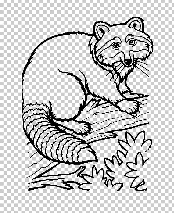 Raccoon Drawing Coloring Book Ausmalbild PNG, Clipart, Animals, Animation, Art, Ausmalbild, Black Free PNG Download