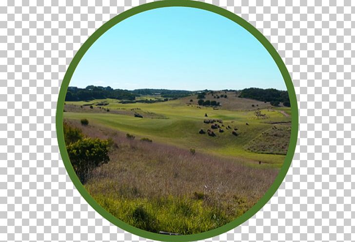 Shire Of Mornington Peninsula International Golf Specialists | Golf Tours & Packages Grassland PNG, Clipart, 20 September, Farm, Field, Golf, Grass Free PNG Download