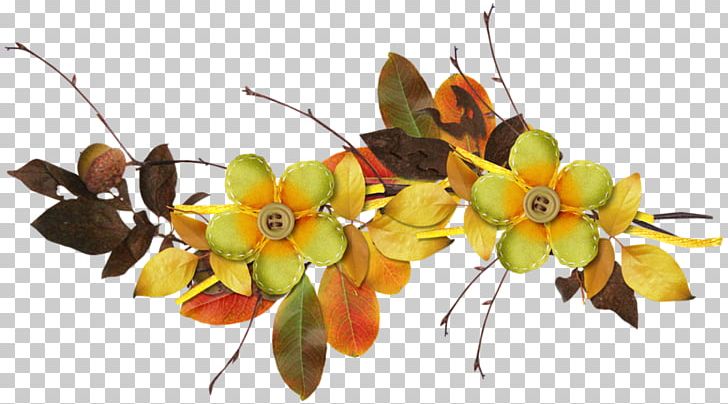 Flower Ping PNG, Clipart, Autumn, Baking, Blanquette De Veau, Branch, Cooking Free PNG Download