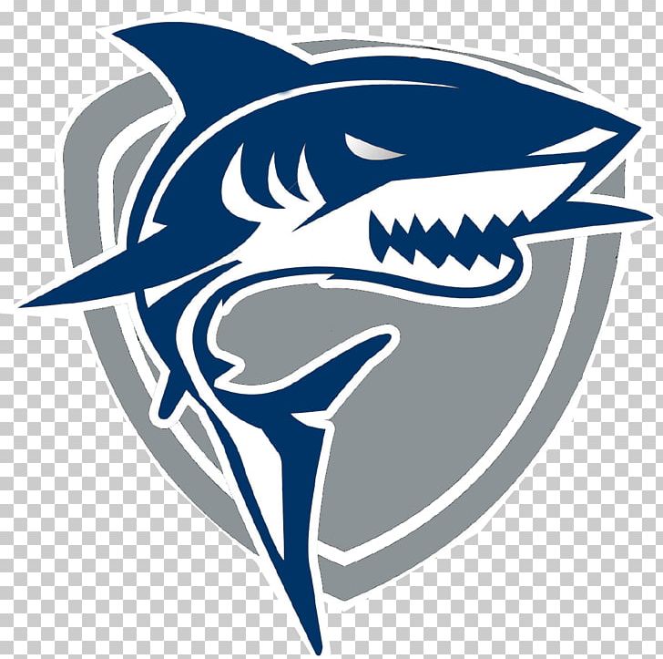 Shark Photography PNG, Clipart, Animals, Cartilaginous Fish, Drawing, Fish, Line Free PNG Download
