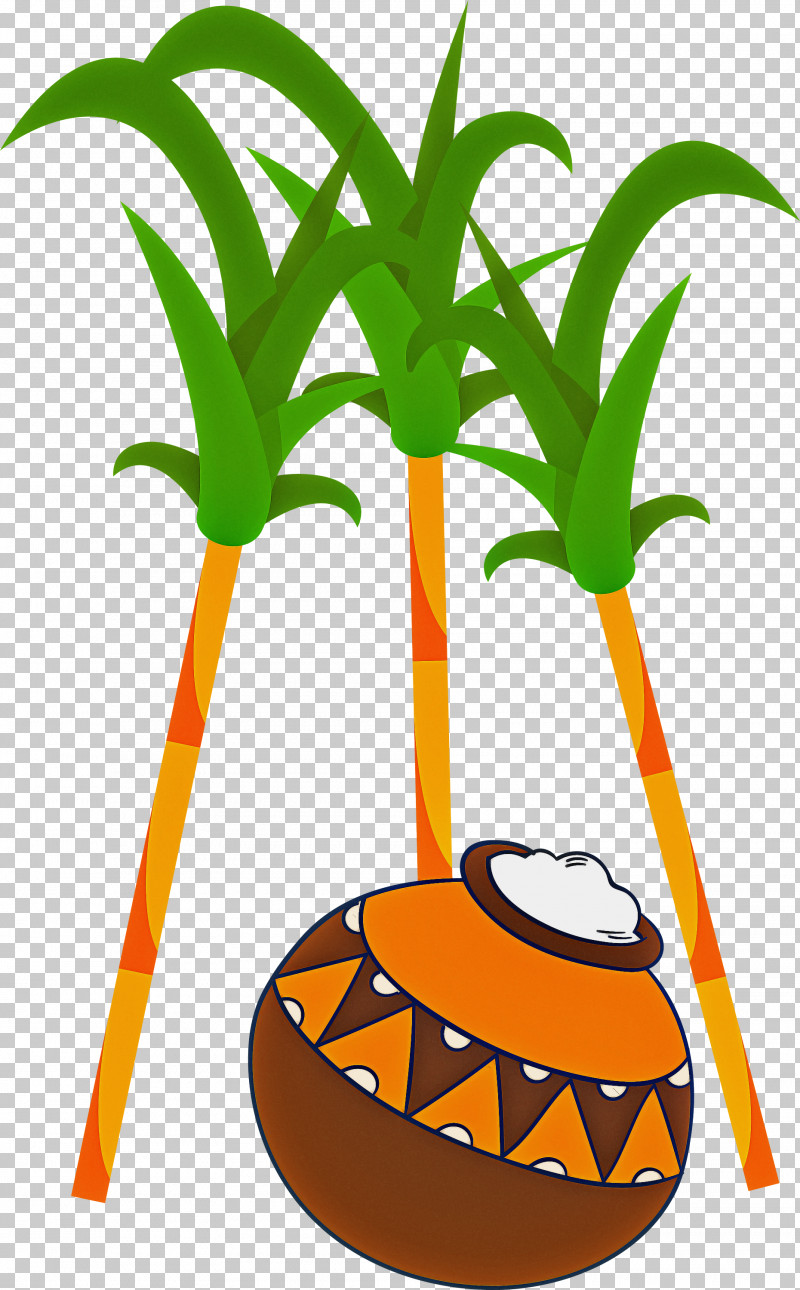 Pongal PNG, Clipart, Biology, Family, Flowerpot, Grasses, Plants Free PNG Download