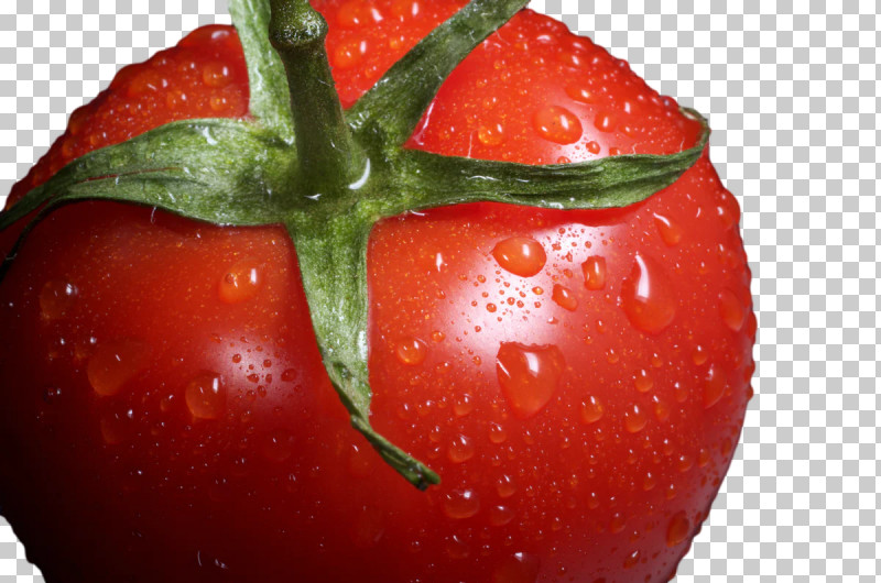 Tomato PNG, Clipart, Bell Pepper, Calcium Deficiency, Filtration, Fruit, Mineral Free PNG Download