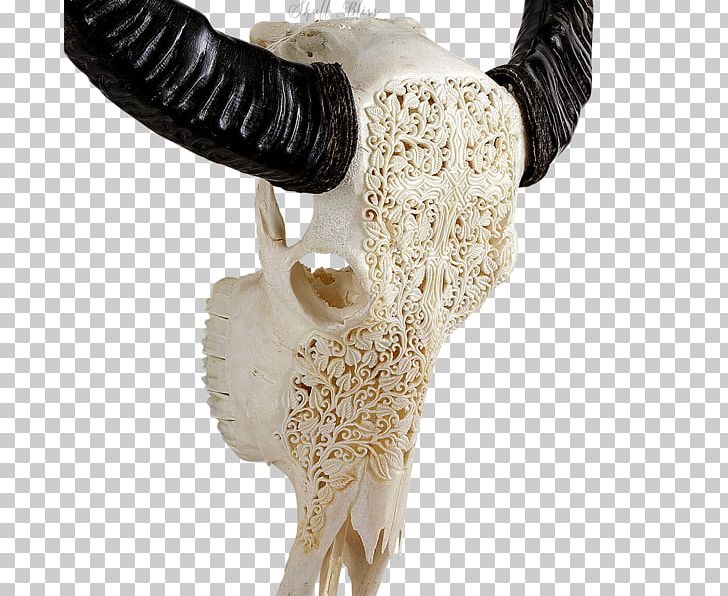 Animal Skulls Horn Bone Skeleton PNG, Clipart, Animal, Animal Skulls, Bone, Buffalo, Cattle Free PNG Download