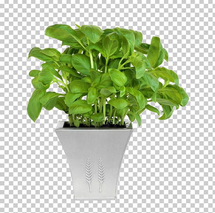 Flowerpot Houseplant Grow Light Sowing PNG, Clipart, Basil, Bedding, Bonsai, Cone, Feslegen Free PNG Download