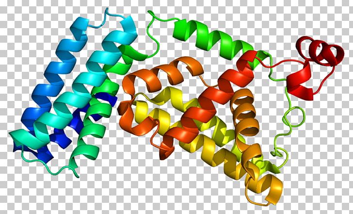 RABGEF1 Guanine Nucleotide Exchange Factor RAB5A Guanosine Triphosphate PNG, Clipart, Bead, Gene, Guanine Nucleotide Exchange Factor, Guanosine Diphosphate, Guanosine Triphosphate Free PNG Download