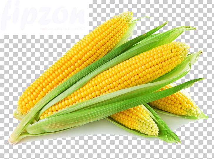 Sweet Corn Popcorn Flint Corn Corn On The Cob Vegetable PNG, Clipart, Baby Corn, Chayote, Commodity, Corncob, Corn Kernel Free PNG Download