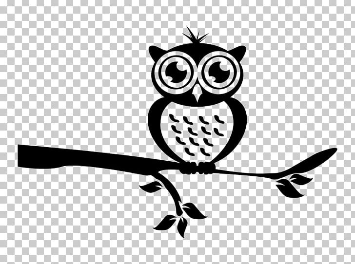 Owl Schwarz & Weiß Branch Wall Decal PNG, Clipart, Amp, Artwork, Beak, Bedroom, Bird Free PNG Download