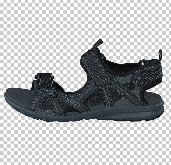 Sports Shoes Adidas ECCO Sandal PNG 