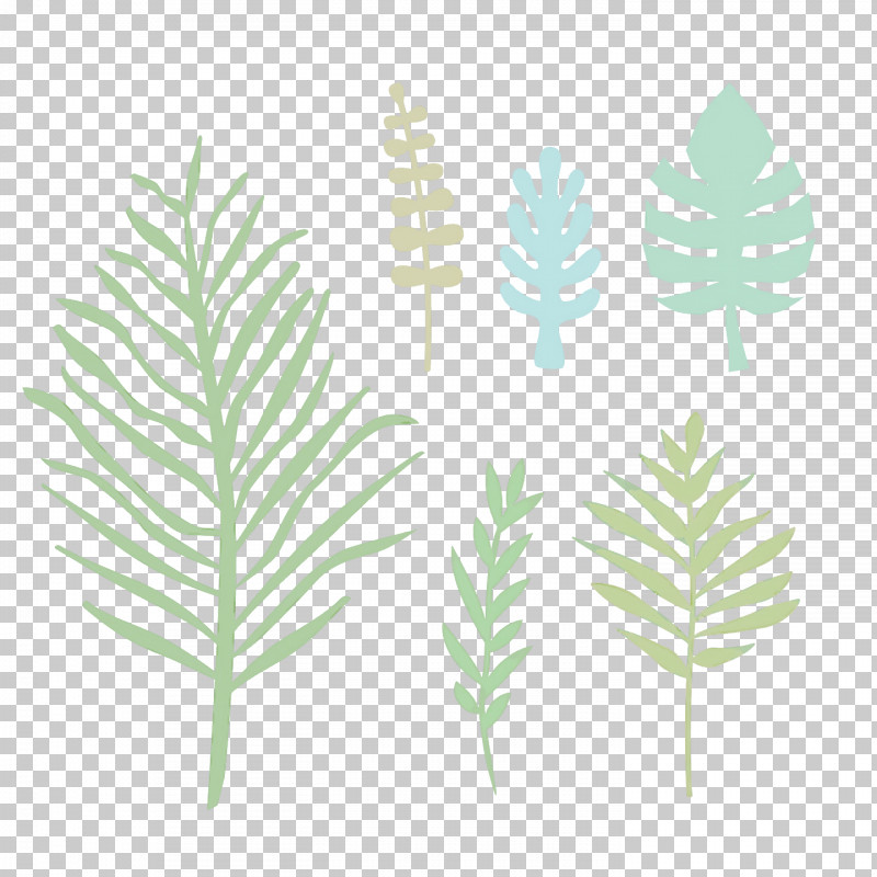 Palm Trees PNG, Clipart, Biology, Grasses, Leaf, Palm Trees, Plants Free PNG Download