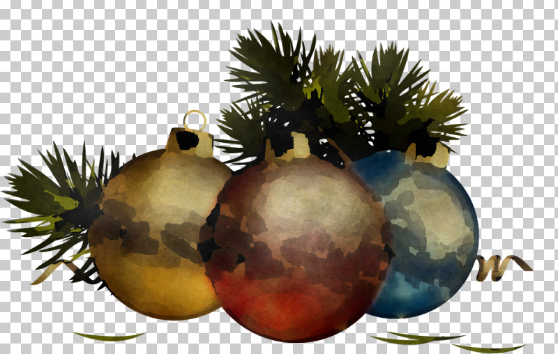 Christmas Ornament PNG, Clipart, Arecales, Attalea Speciosa, Christmas, Christmas Decoration, Christmas Ornament Free PNG Download