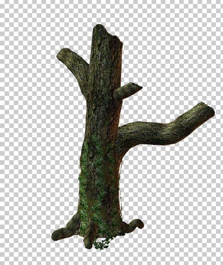 3D Trees Trunk PNG, Clipart, 3d Computer Graphics, 3d Trees, Branch, Clip Art, Computer Icons Free PNG Download