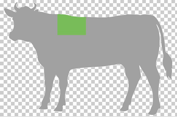 Cattle Cut Of Beef Steak Food PNG, Clipart, Beef, Beef Tenderloin, Brisket, Butcher, Cattle Like Mammal Free PNG Download