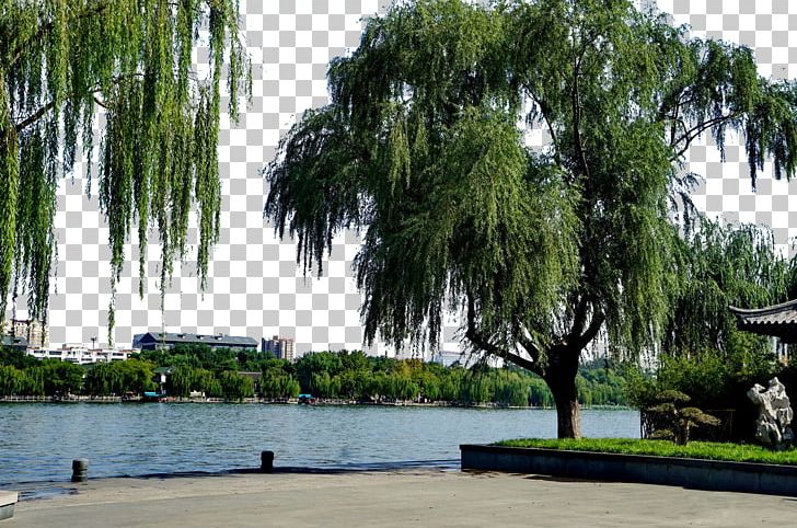 Daming Lake Tourist Attraction Resolution PNG, Clipart, Attractions, Fig, Garden, Grass, Landmark Free PNG Download