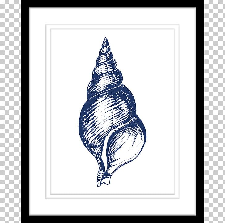 United States Navy Conch Gastropods PNG, Clipart, Art, Artwork, Black And White, Conch, Conchology Free PNG Download