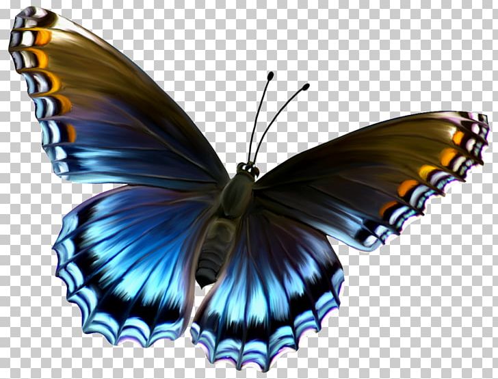 Monarch Butterfly PNG, Clipart, Arthropod, Brush Footed Butterfly, Butterfly, Butterfly Images Free, Color Free PNG Download