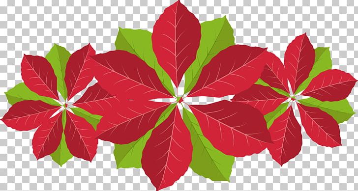 Wedding Invitation Christmas Poinsettia Flower PNG, Clipart, Christmas, Christmas Card, Christmas Eve, Christmas Ornament, Flower Free PNG Download