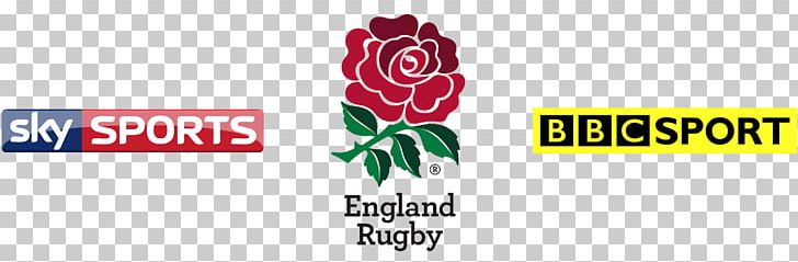 England National Rugby Union Team World Rugby Sevens Series T-shirt Rugby Shirt PNG, Clipart, Brand, Clothing, England National Rugby Union Team, Graphic Design, Kit Free PNG Download
