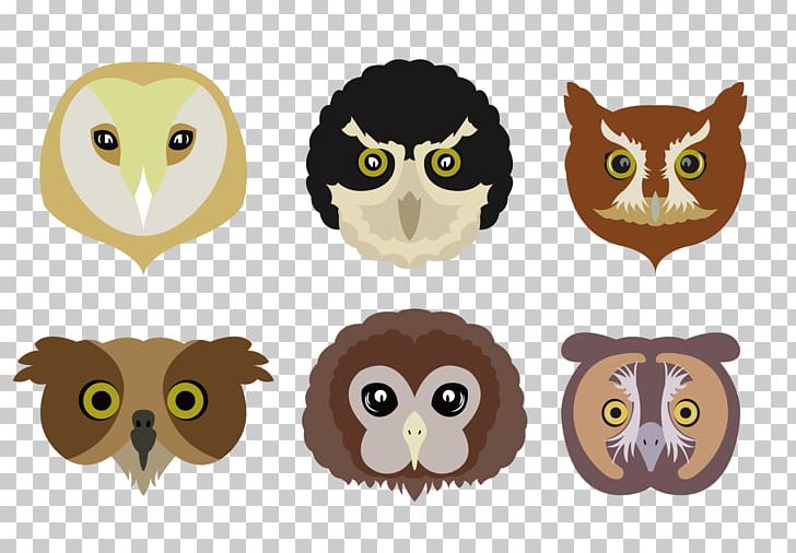 Owl Cartoon PNG, Clipart, Animals, Balloon Cartoon, Beak, Bird, Bird Of Prey Free PNG Download